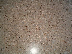 Polished Concrete